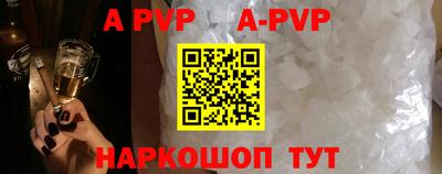 стаф Тара