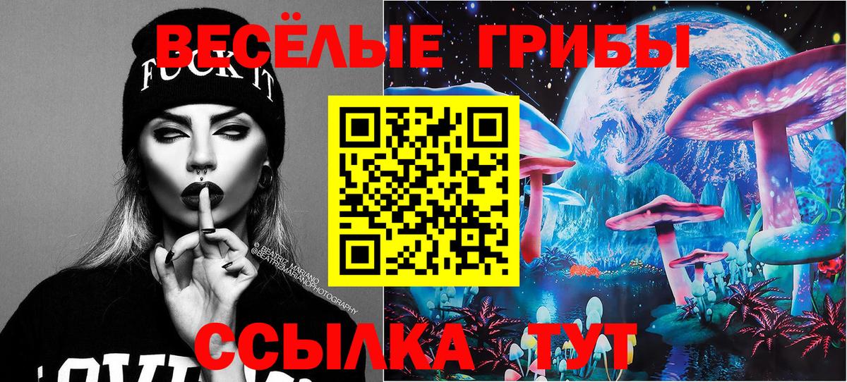 Псилоцибиновые грибы ЛСД Новосибирск