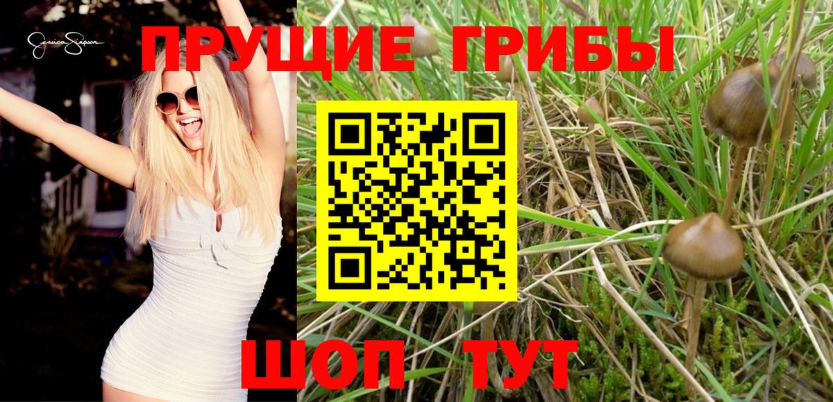 Псилоцибиновые грибы MAGIC MUSHROOMS  Вход с VPN  Новосибирск 